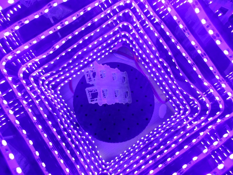 in der UV Kammer
