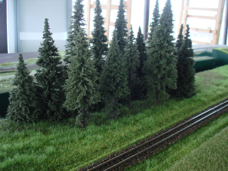 Tannenschonung auf dem Flexmodul