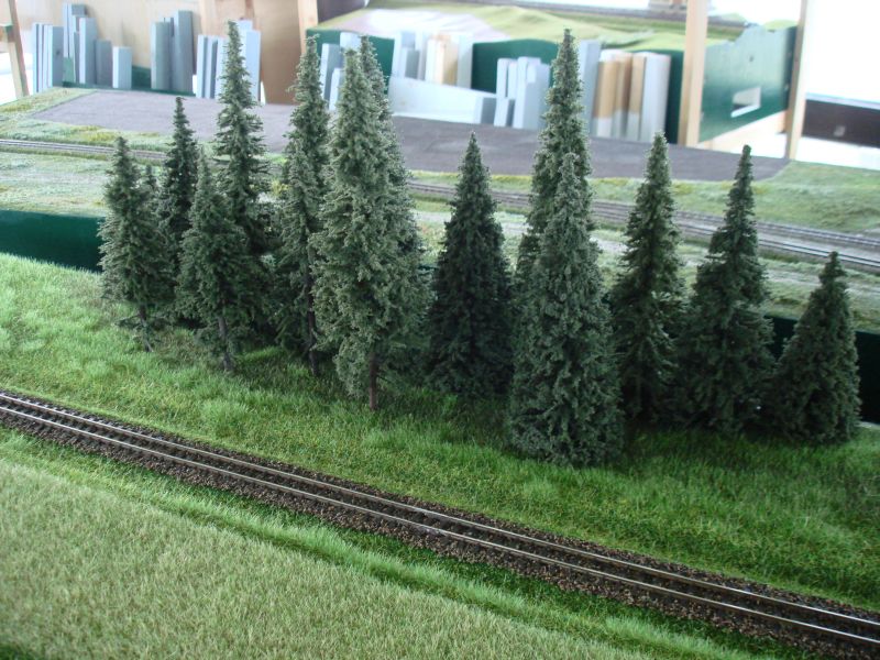 Tannenschonung auf dem Flexmodul