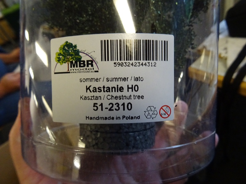 Kastanie