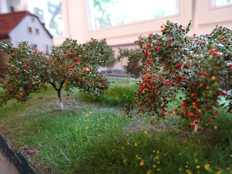 Apfelgarten