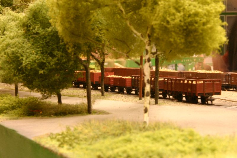 beladene R�benwagen in der Zuckerfabrik