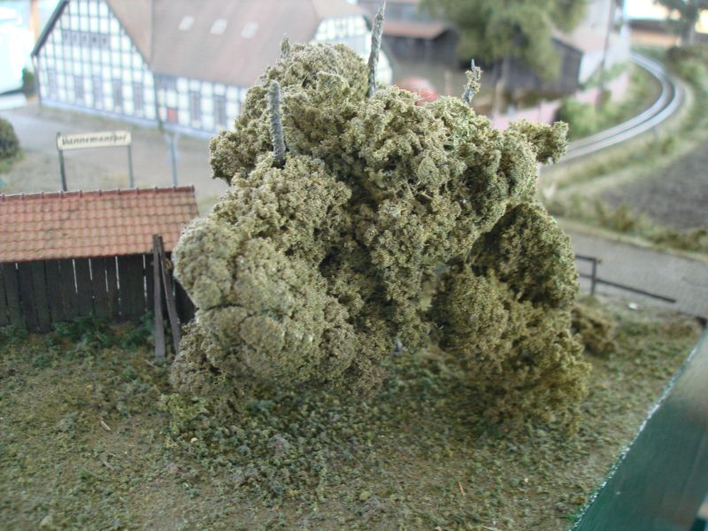 alte Baumkontruktion