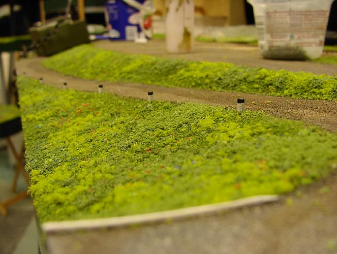 Fruchtst�nde und Bl�ten