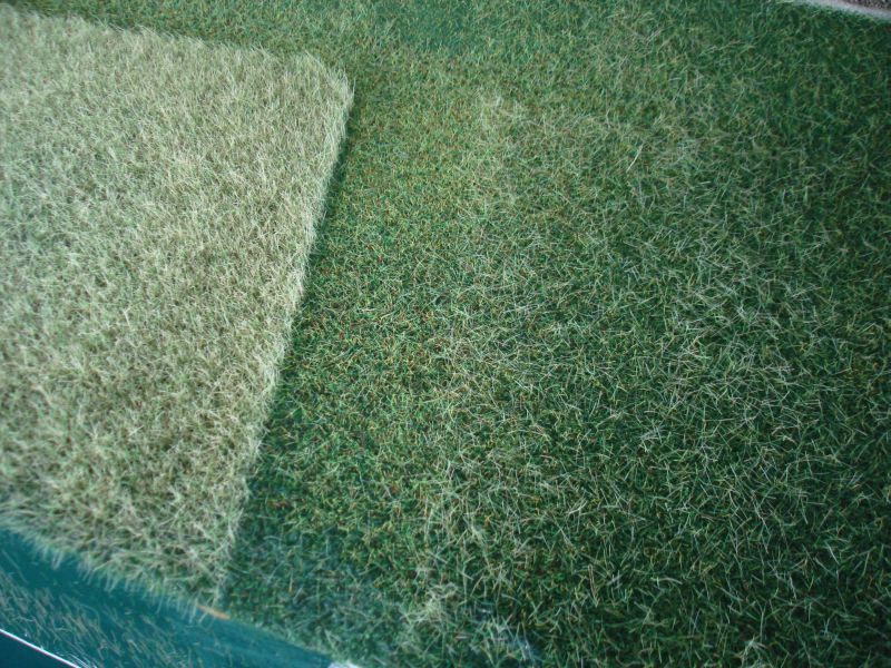 �berz�hlige Fasern