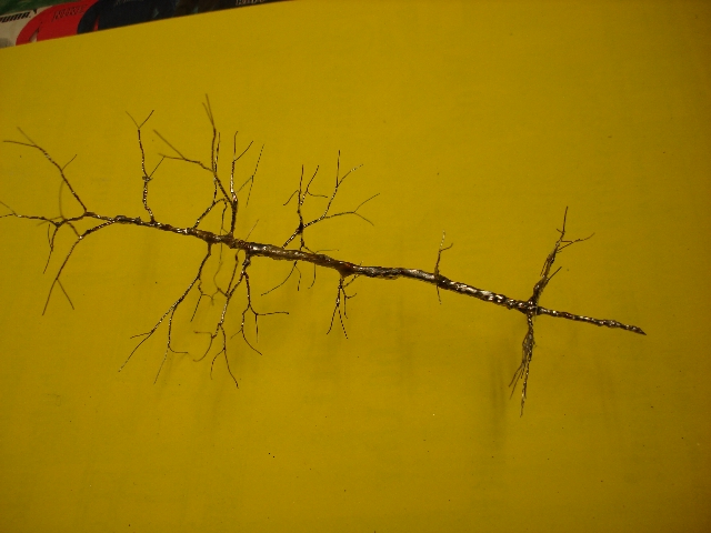 fertig gel�teter Baum