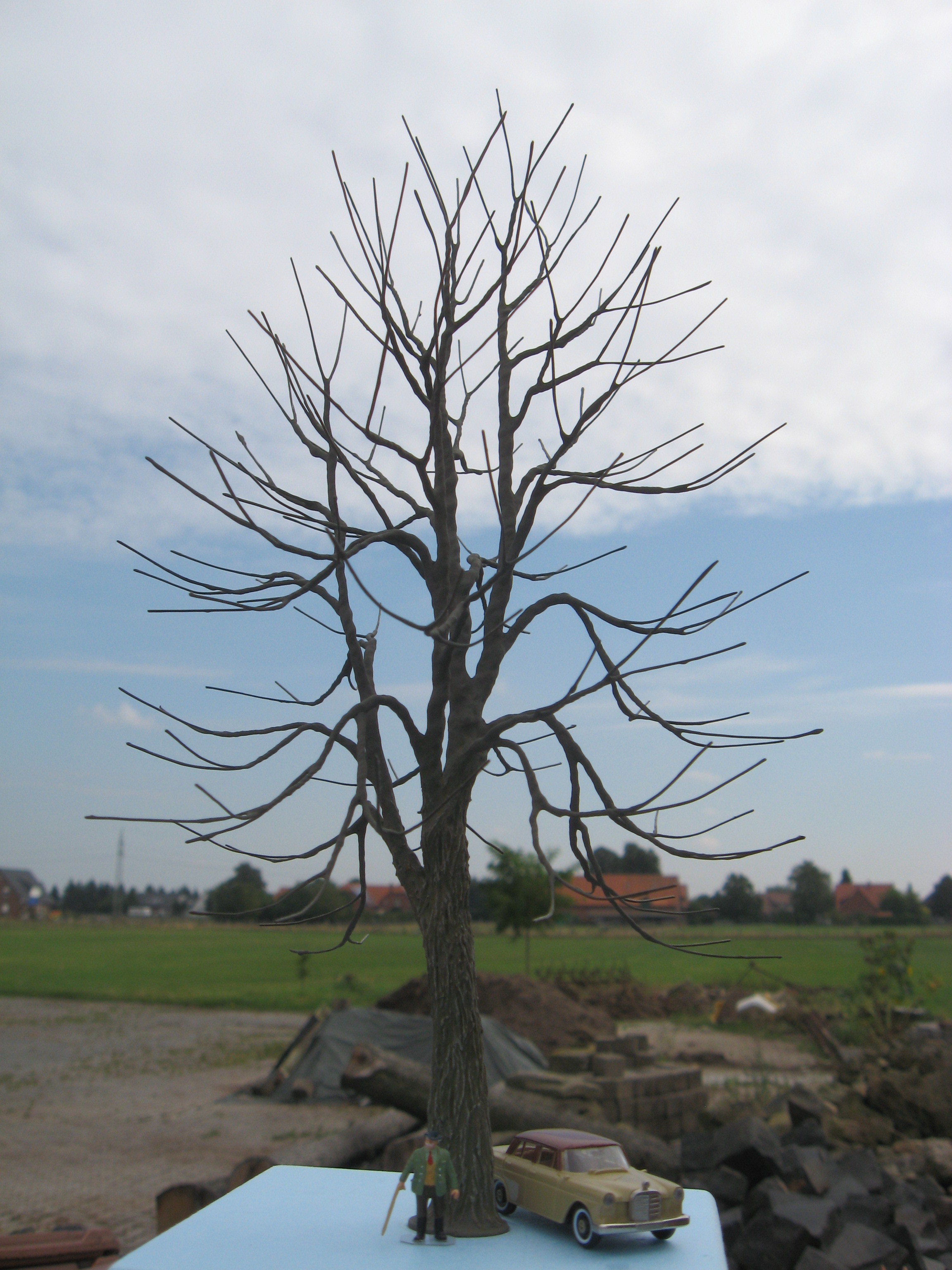 Modellbirke als Rohling