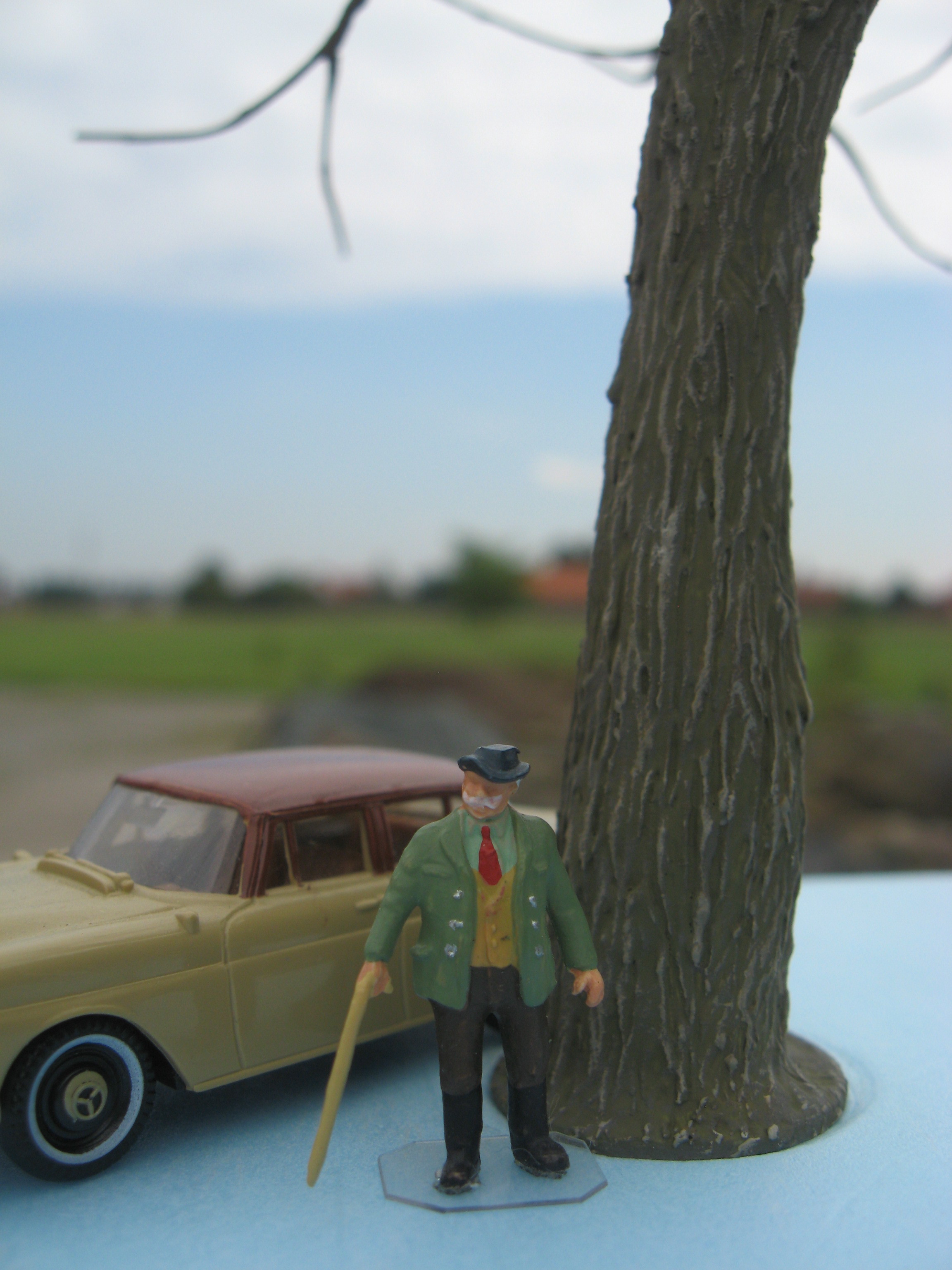 Modellbirke in freier Natur