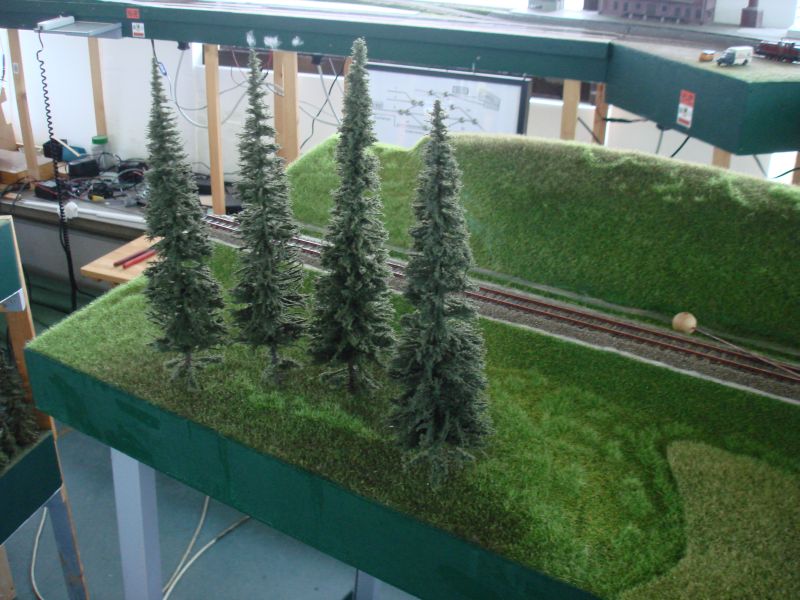 Waldrand