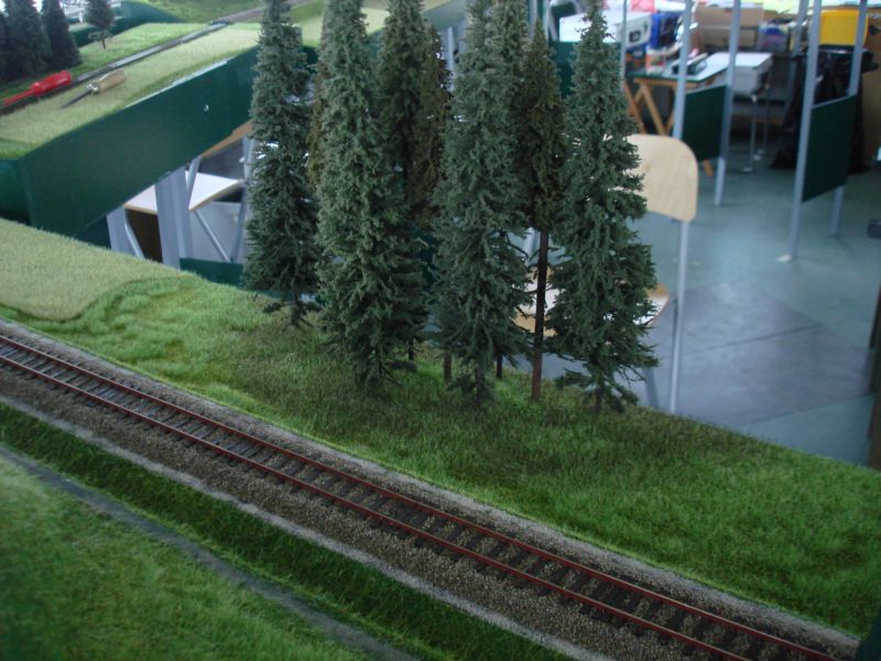 Waldrand von au�en