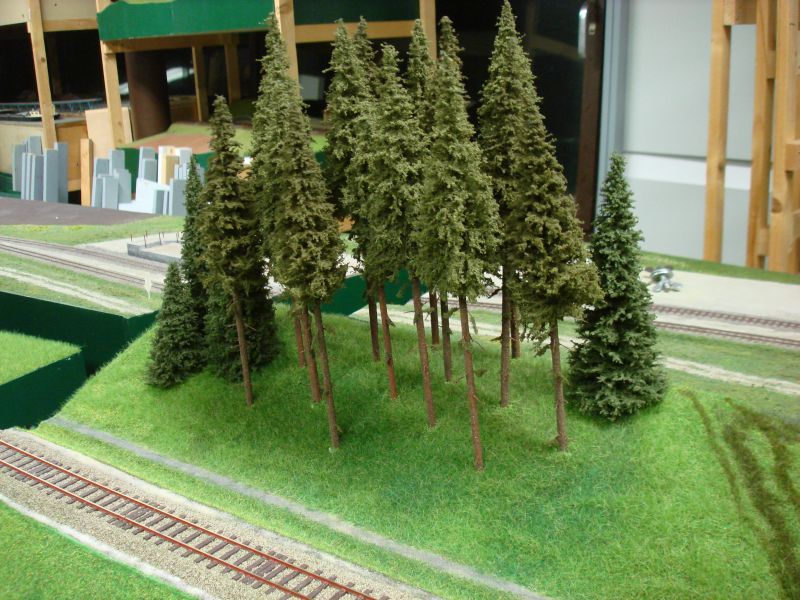 gelichteter Waldrand