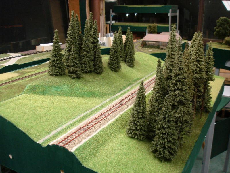 Waldboden