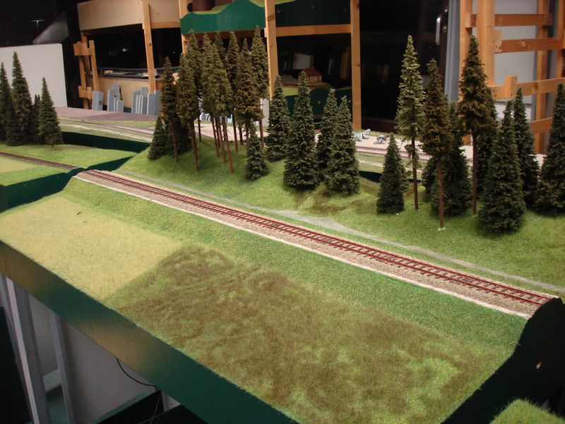 Tannenwald