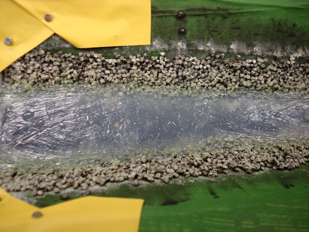 Tropfen auf der Oberfl�che