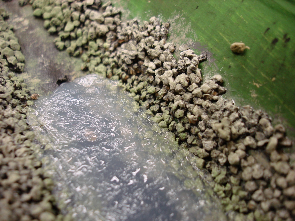 Transparenz des Materials